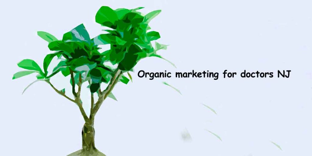 Organic marketing for doctors NJ: Getting quality leads