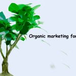 Organic marketing for doctors NJ: Getting quality leads